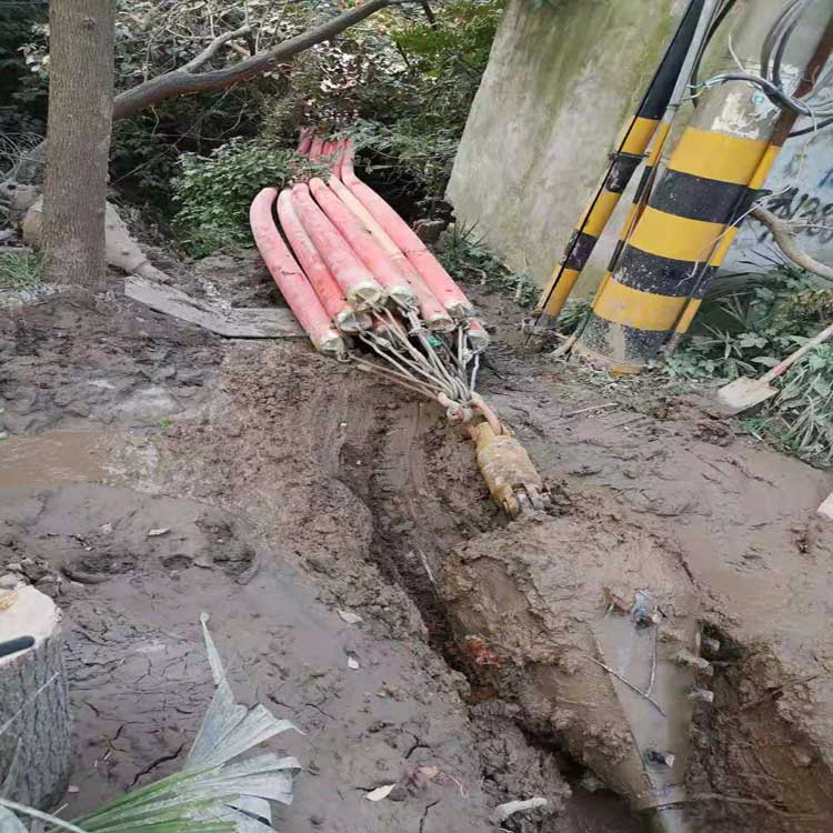 天水武汉电动拖拉管